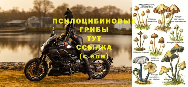 амф Беломорск
