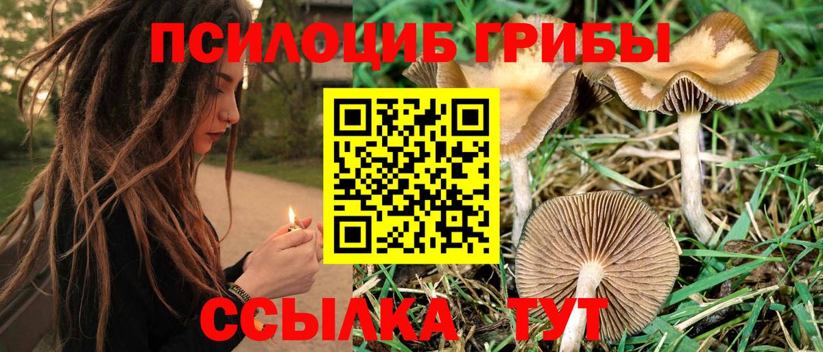 Галлюциногенные грибы прущие грибы  Галлюциногенные грибы прущие грибы  Кстово  Вход с VPN 